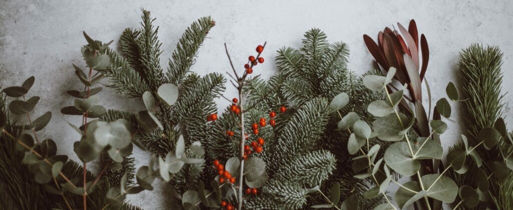 Letter From Leadership: Looking Back on 2019