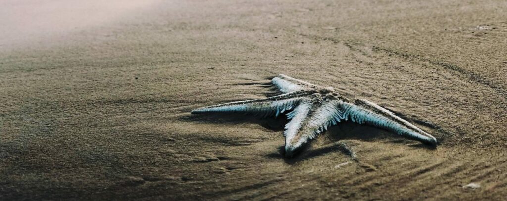Changing the Tide